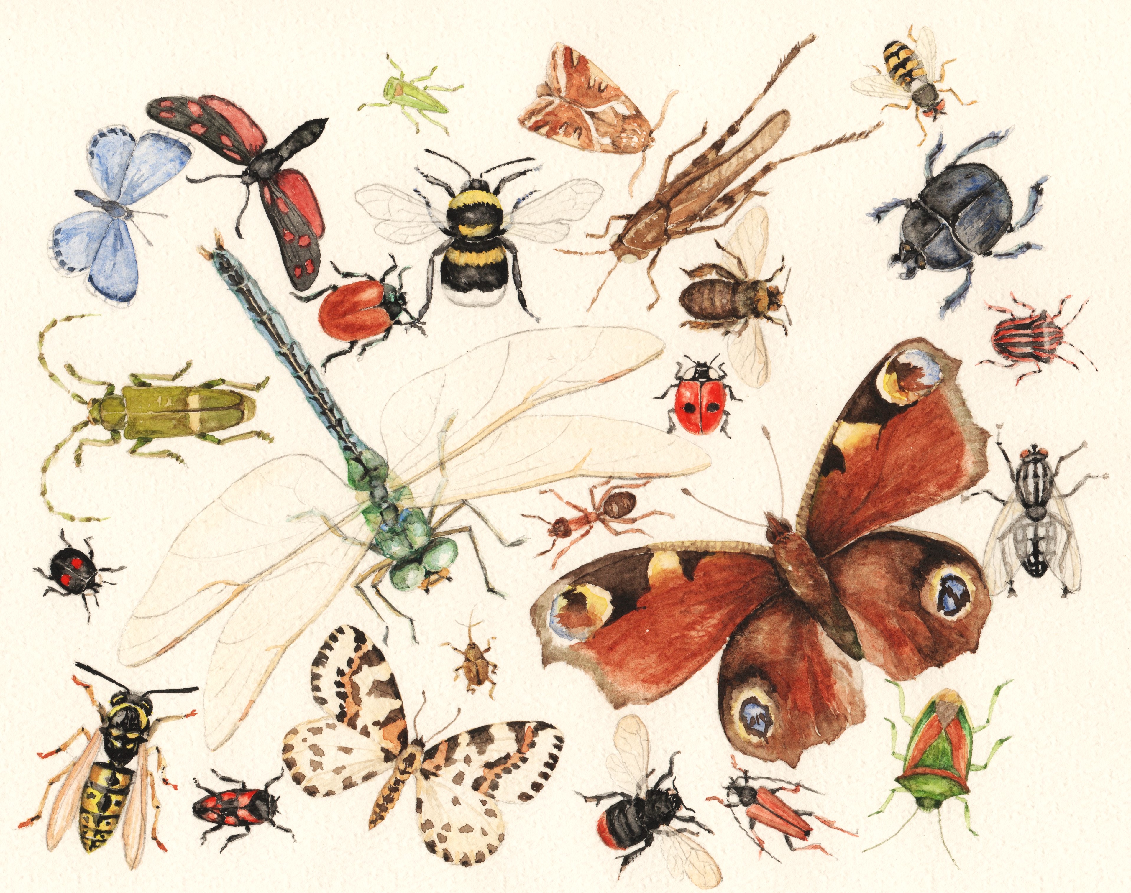 <b>1995 - allemaal beestjes